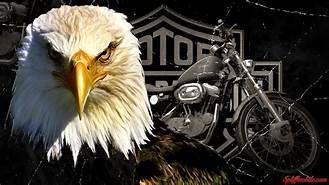 Gear for the Bold Patriot